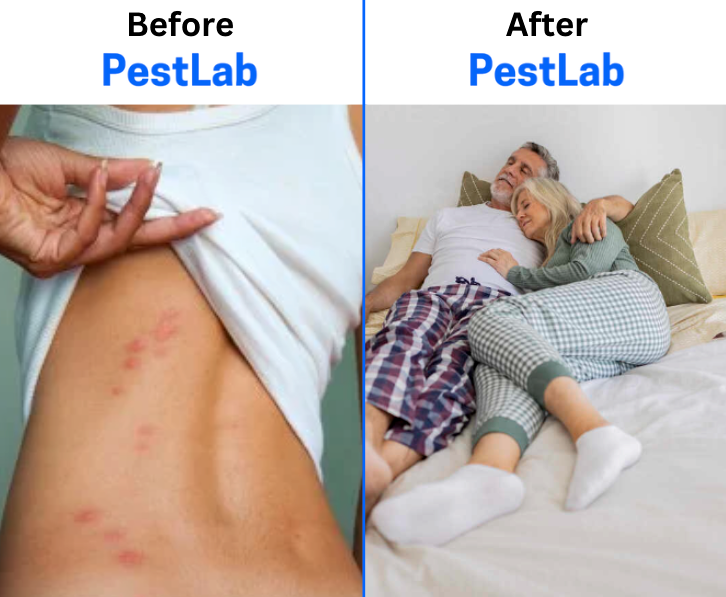 2026 Upgraded Pest Repeller - Banish Bed Bugs For Good