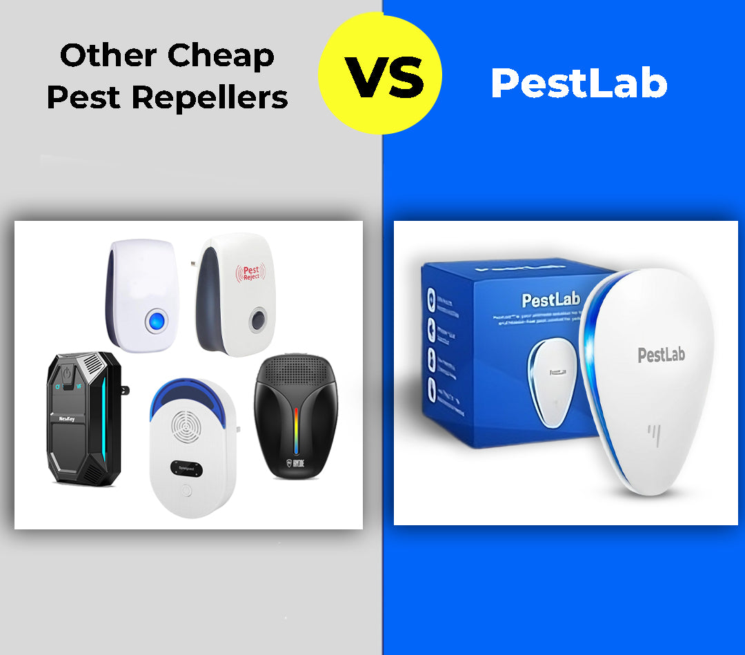 2026 Upgraded Pest Repeller - Banish Bed Bugs For Good