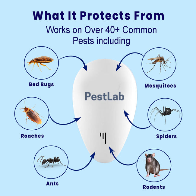 2026 Upgraded Pest Repeller - Banish Bed Bugs For Good Main Image